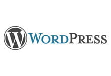 Ein WordPress Theme richtig auswählen