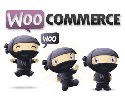 WooCommerce  2.2.11 Security Update