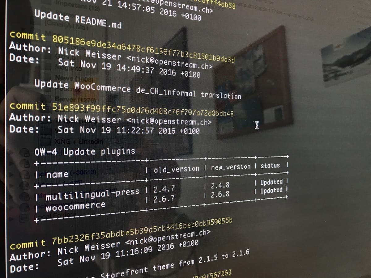 WordPress CLI überall nutzen